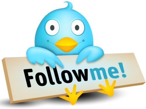 Image link to follow Mimi and Chichi on Twitter